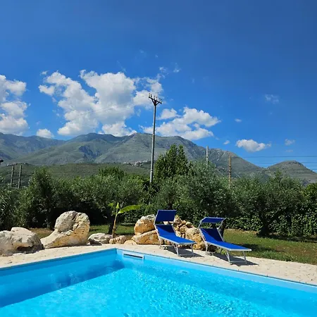 Quattro Olive Отель типа 