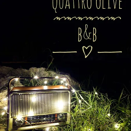 فندق مبيت وإفطار Quattro Olive 3*